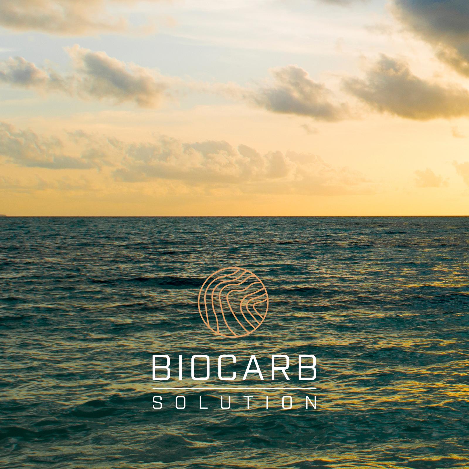 BioCarb Solution